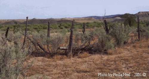 Cedar (aka Bullington) Cemetery, Lower Disappointment Valley, San Miguel County, CO