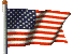 {U.S.A. Flag}